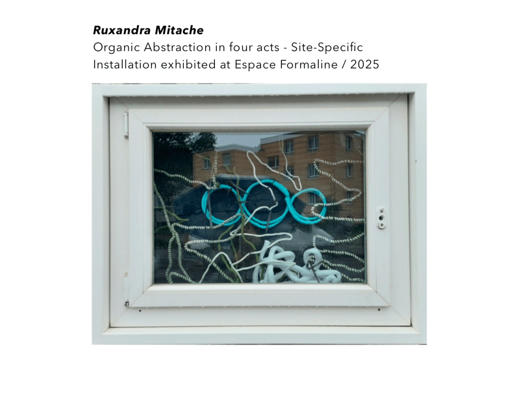 On Interdisciplinary Artistic Practice: An Interview with Ruxandra&nbsp;Mitache