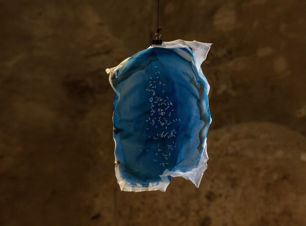 Between Memory and Transformation: Interview with Chiara&nbsp;Bertin