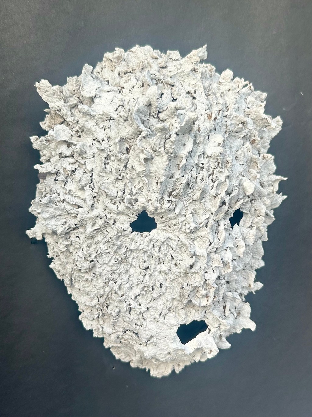 Bodies in Transition: Rethinking Masks, Memory and Self “Mari&nbsp;Astan”